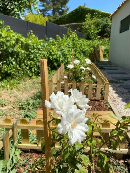Maison, Jardin, Piscine Parking Pres D'Aix Centre Venelles Kültér fotó